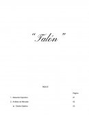 Plan de marketing “Talón”,una propuesta de mujeres, pensando en mujeres.