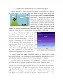 Tema de La atmósfera y sus diferentes capas (RESUMEN)