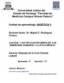 LAS CÉLULAS ESTAMINALES, LOS EMBRIONES HUMANOS Y LA ÉTICA MÉDICA