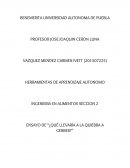 ENSAYO DE “¿QUÉ LLEVARÍA A LA QUIEBRA A GERBER?”