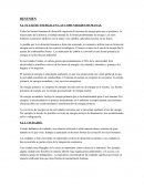 Resumen Desarrollo Sustentable FLUJO DE ENERGÍA EN LAS COMUNIDADES HUMANAS.