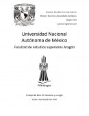 El libro, el Mexicano y su siglo