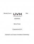 Las 22 leyes inmutables de Marketing.