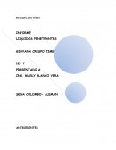 Informe final tintas penetrantes