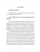 LINEA ESTRATEGICA DEL PLAN SIMON BOLIVAR EN QUE SE ENMARCA