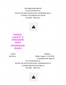 Informe de Trabajo de Contabilidad