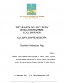 Naturaleza del proyecto Bebida energizante: Cool emperor