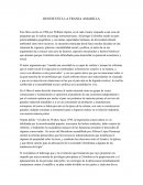 LIBRO DONDE ESTA LA FRANJA AMARILLA