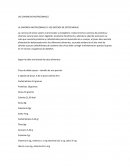 LA CARENCIA NUTRICIONALES Y LOS EXCESOS DE ESTOS MENUS