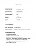 Tipo de curriculum vitae