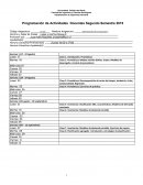 Programación diaria de Actividades para docentes