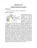 PRACTICA - CROMATOGRAFIA DE GASES