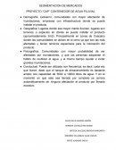 SEGMENTACION DE MERCADOS PROYECTO “CAP” CONTENEDOR DE AGUA PLUVIAL