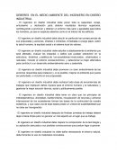 DEBERES EN EL MEDIO AMBIENTE DEL INGENIERO EN DISEÑO INDUSTRIAL