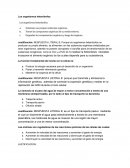 Producir la energía necesaria para el desarrollo de un organismo