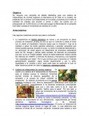 Se requiere una campaña de Mobile Marketing para una cadena de restaurantes de comida orgánica en Barcelona