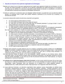 SOLUCIÓN PRACTICA: ADOLFO DOMINGUEZ