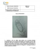 QUIMICA - CELULA PROCARIOTA