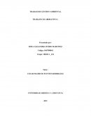 TRABAJO DE GESTION AMBIENTAL