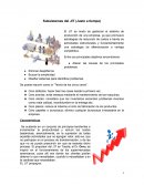 Subsistemas del JIT (Justo a tiempo)