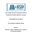Nietzsche: Apolo y Dionisio (la sin- razón) en la formación humana.