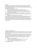 Estandares de competencia