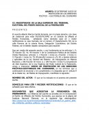JUICIO DE PROTECCIÓN DE LOS DERECHOS