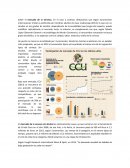 Ensayo acerca del mercado de la Cerveza