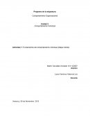 Fundamentos del comportamiento individual (Mapa mental)