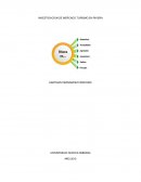 INVESTIGACION DE MERCADO TURISMO EN RIVERA