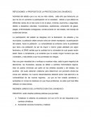 LA PROTECCIÓN CIVIL EN MÉXICO