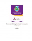 Campo de Salud y Niveles de Prevención