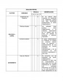 ANALISIS PESTEL Y MICROENTORNO
