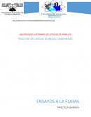 Ensayo de flama - QUIMICA