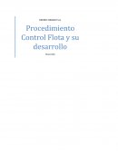 REDBUS URBANO S.A. Procedimiento Control Flota y su desarrollo