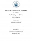 Ingeniería Ambiental Materia: Física II PRÁCTICAS DE LABORATORIO