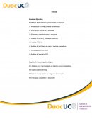 Resumen Ejecutivo TRAMONTINA