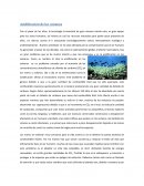 Acidificación de los océanos