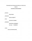 Informe de lab Coloración de complejos