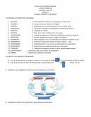 Tarea de química: resolver los siguientes problemas