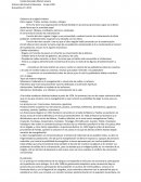 Historia del Derecho Mexicano: Derecho Indiano