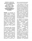 INFORME DE LABORATORIO PRÁCTICA # 4 - IDENTIFICACIÓN DE CARBOHIDRATOS