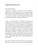 Como ocurre la fertilización o concepción