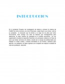 PROYECTO DE PSICOLOGIA DE LAS ORGANIZACIONES