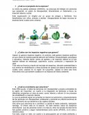 Análisis del propósito, los impactos y el valor social que proporciona la organización “Unión de Padres Solidarios (UPASOL)”