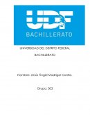 REPORTE DE LA VISITA AL MUSEO DEL CARACOL