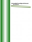 Actos y acciones inseguras Tarea