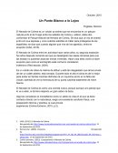 Un punto blanco a lo lejos - El nevado de Colima