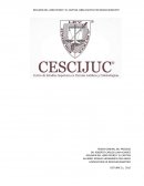 Resumen del libro Pedro y el capitán