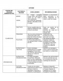INFORME ETAPAS DEL PROCESO ADMINISTRATIVO